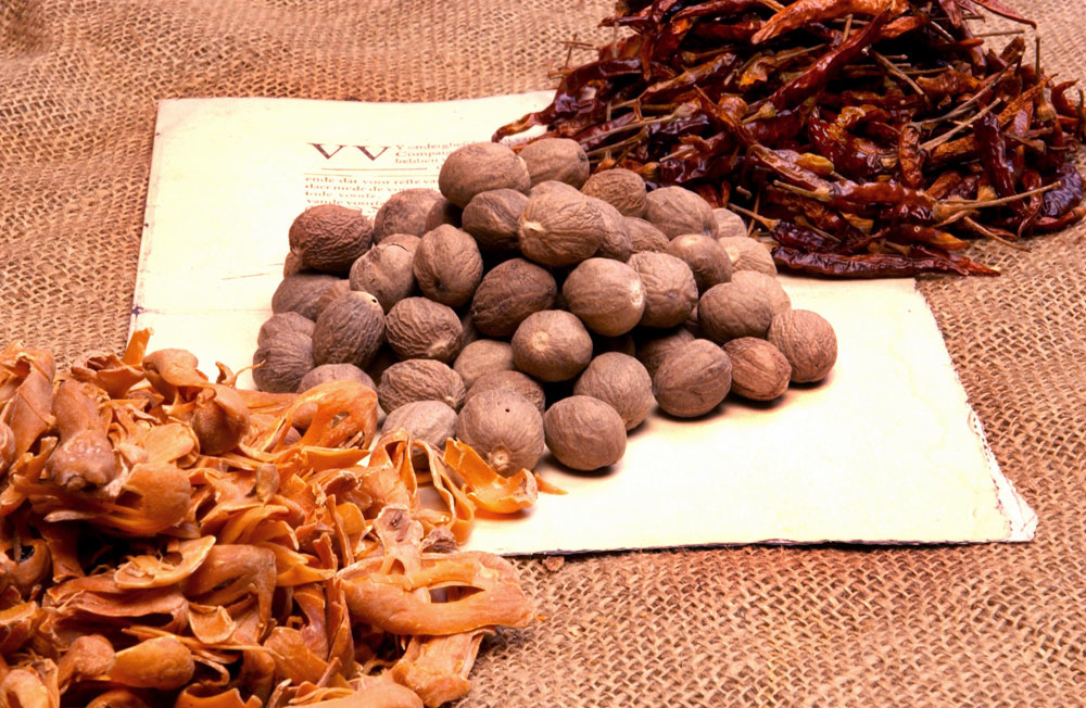 Early VOC shareholders received their dividend payments in spices